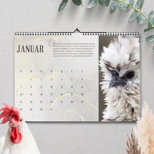 hühner wandkalender