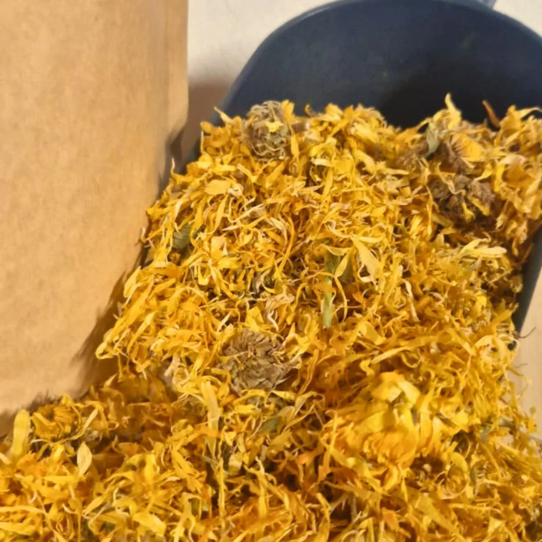 ringelblumen mit kelch