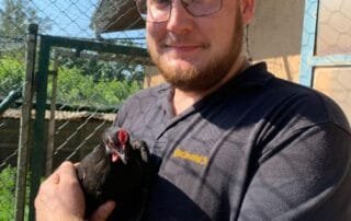 Zwerg Augsburger Züchter Dennis