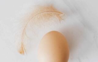 wo im ei befindet sich die luftblase