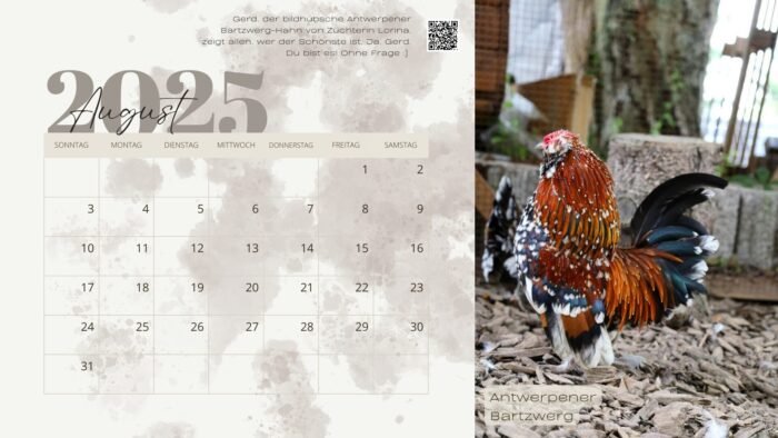 Antwerpener Bartzwerg Kalender