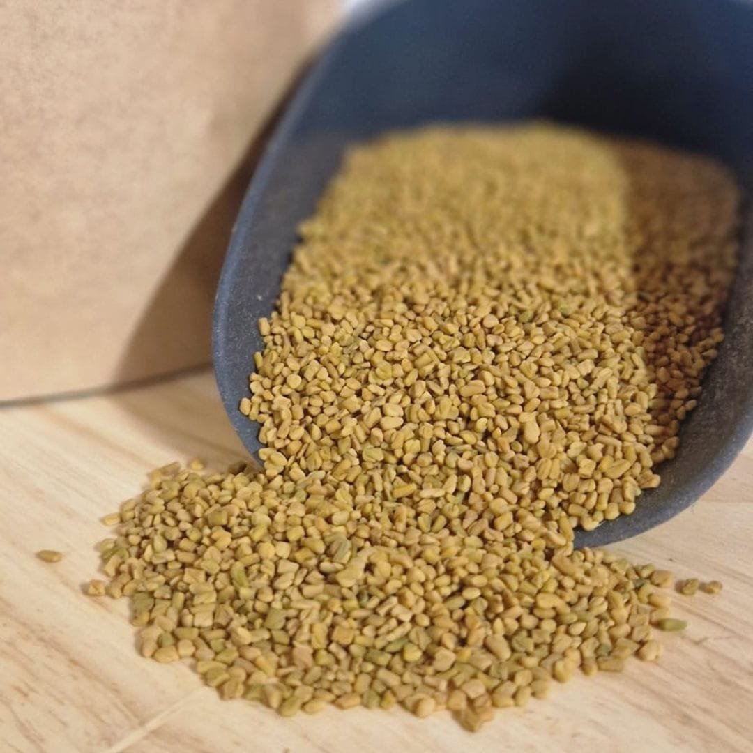 Bockshornkleesamen Produktbild