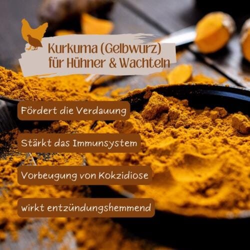 kurkuma gemahlen