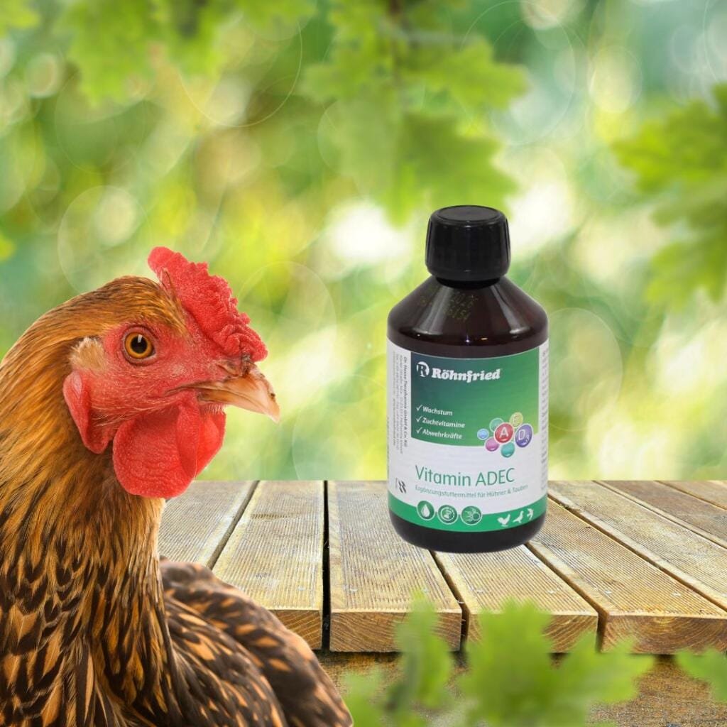 Röhnfried Vitamin ADEC