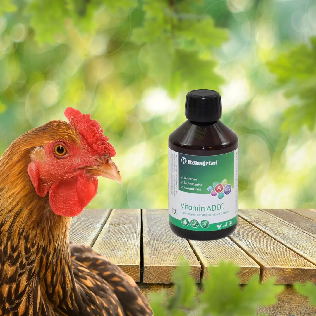 Röhnfried Vitamin ADEC