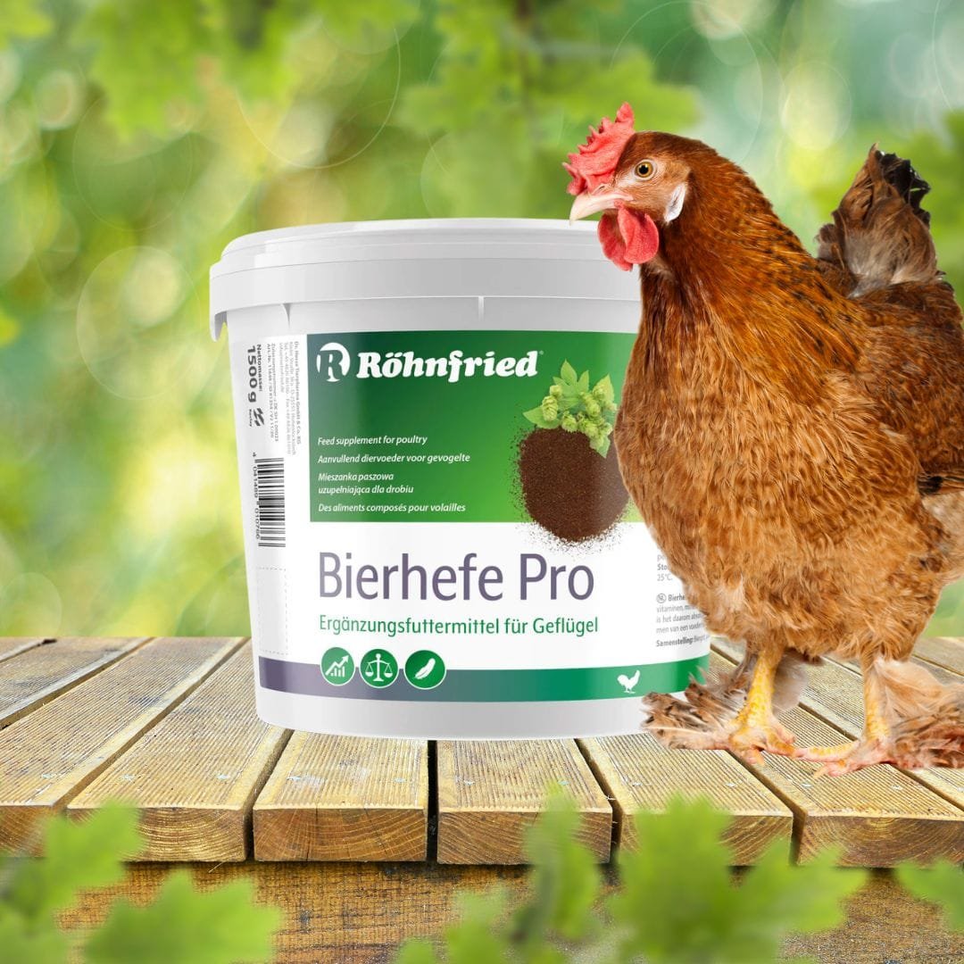 röhnfried bierhefe