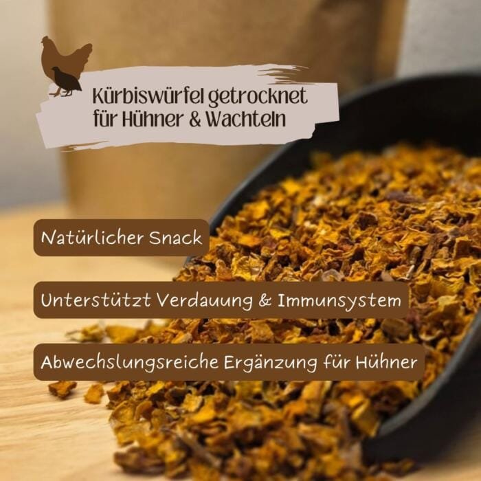 Kürbiswürfel für Hühner
