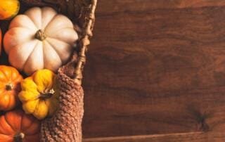 kürbisse für hühner