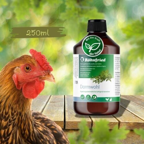 Röhnfried Darmwohl Produktbild